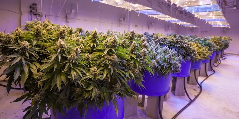 lst vs hst