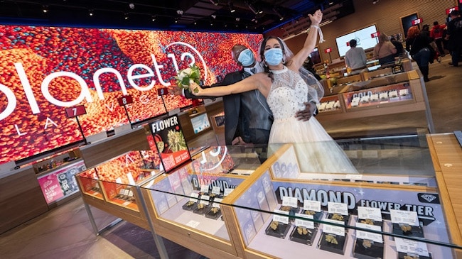 most spectacular cannabis stores