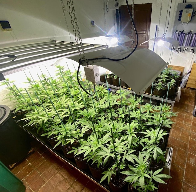 HPS LED