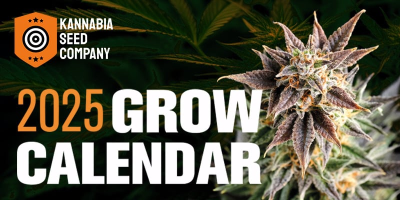 Cannabis-Anbaukalender 2025