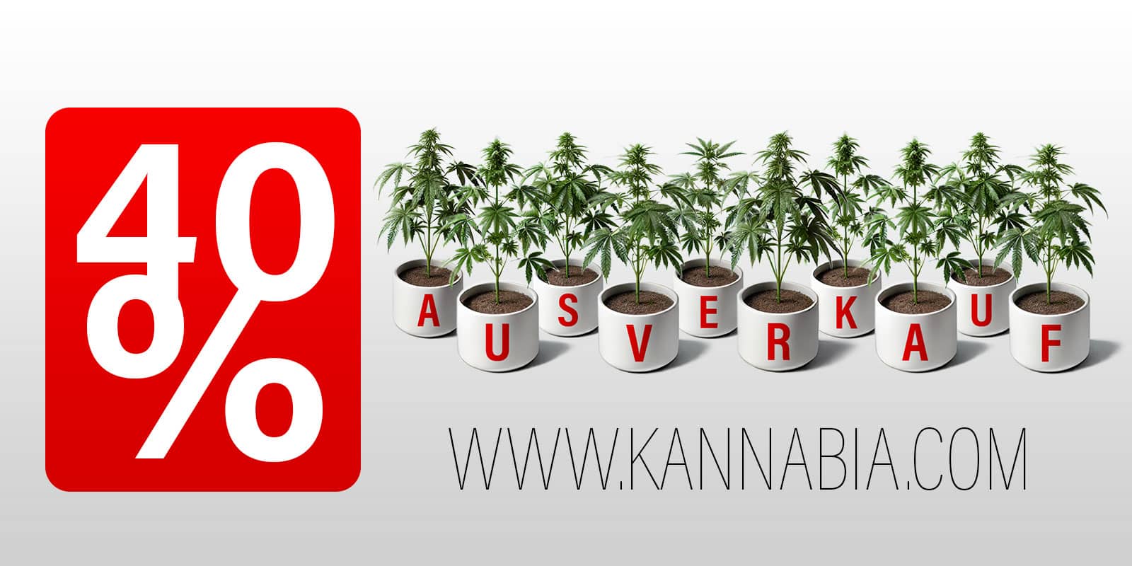 Ausverkauf 40% Rabatt