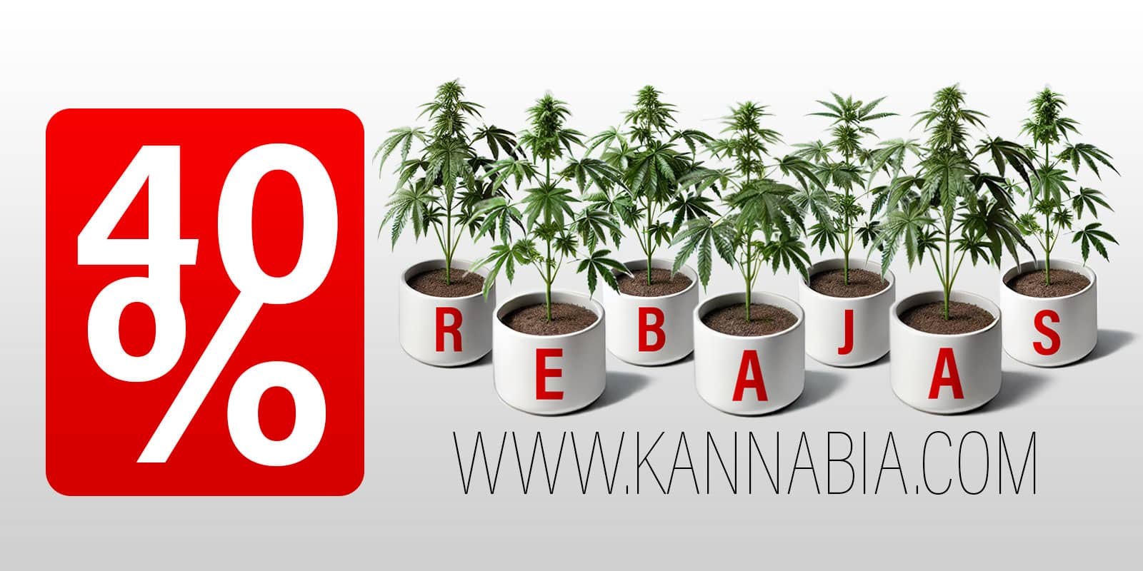 REBAJAS 40% DESCUENTO