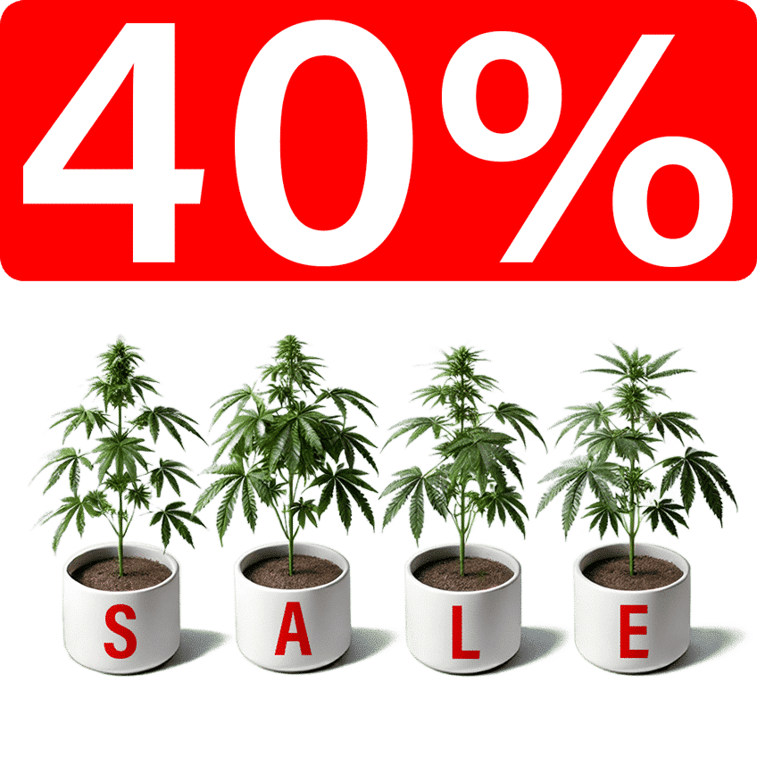 SALE 40% DISCOUNT