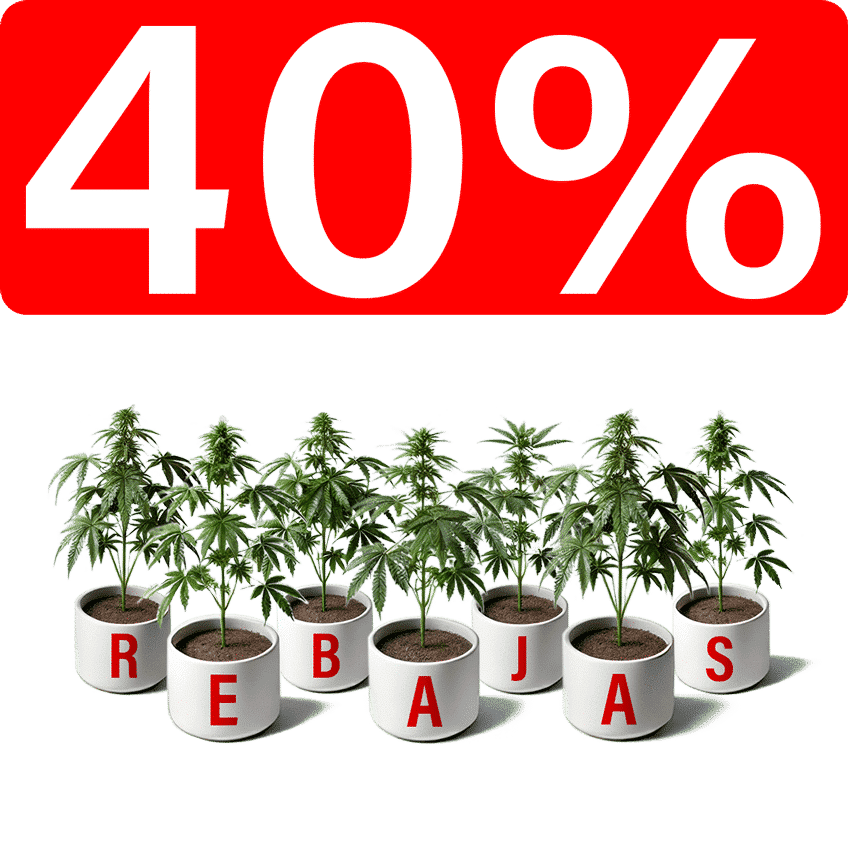 REBAJAS 40% DESCUENTO