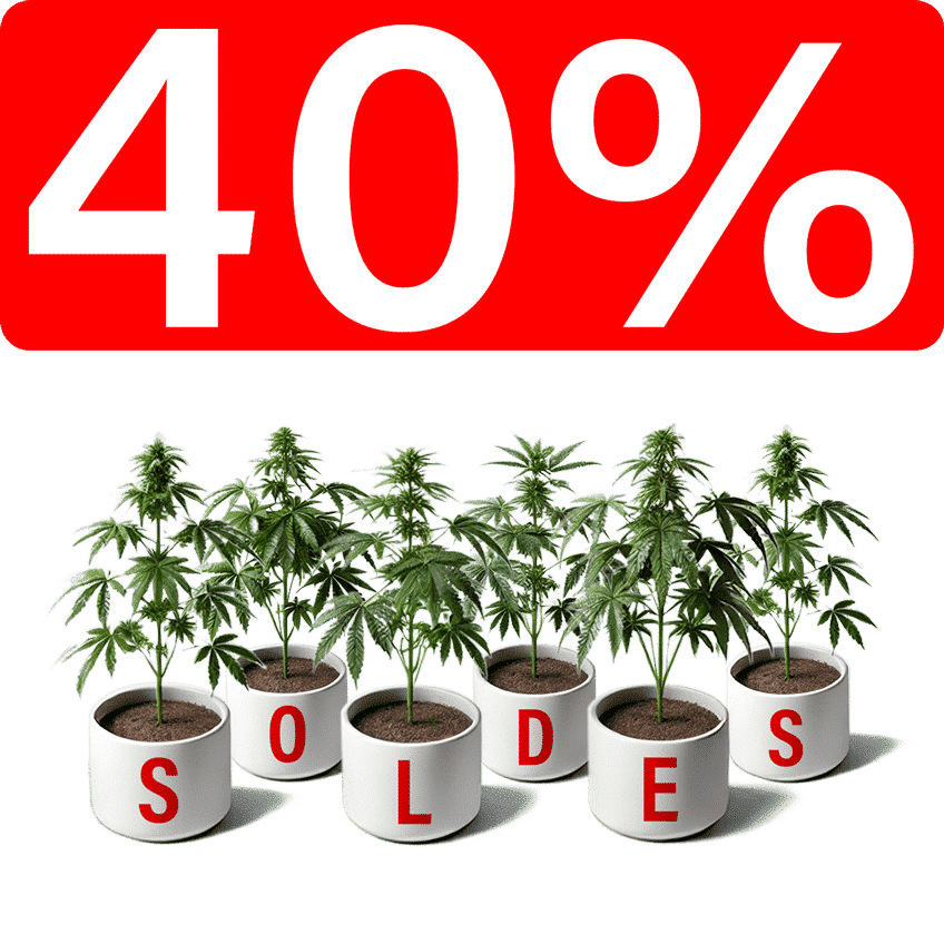 Soldes 40% RABAIS